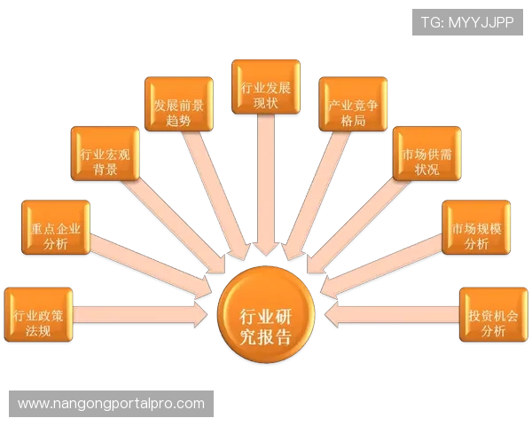 雷恩俱乐部全方位解析与发展前景深度探讨